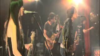 a flood of circle / シーガル -Live 【MUSIC VIDEO Short.】
