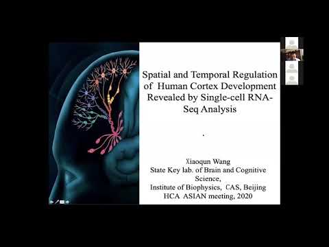 HCA Meeting Asia 2020: Co-current 2-3a - Spatial & Temporal Regulation of Human Cortex Development