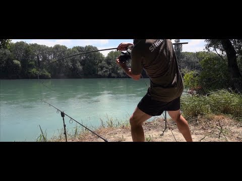 download lagu mp3 mp4 Carp Runs France, download lagu Carp Runs France gratis, unduh video klip Carp Runs France