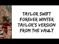 Taylor Swift - Forever winter (Taylor's version) (From The Vault) (lyrics)