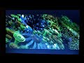 Opening Closing To The Phantom Menace 2015 Blu Ray