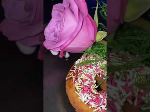 Chocolate, vanilla, Dipp doughnut @waheeda shakil