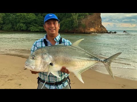 Shore Fishing a TROPICAL beach for multiple species - Weligama beach, Sri Lanka