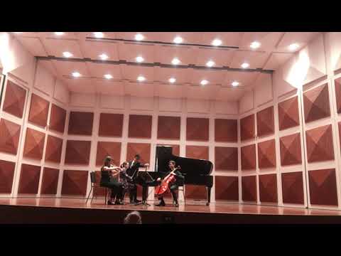 Piano Trio no.1 in B major- Johannes Brahms