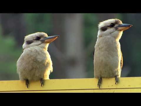 Highway durch Australien (1) Der Südwesten