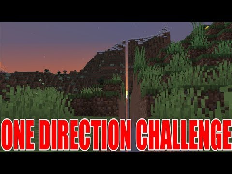 Chill Charity Stream in One Direction Challenge 🚀
