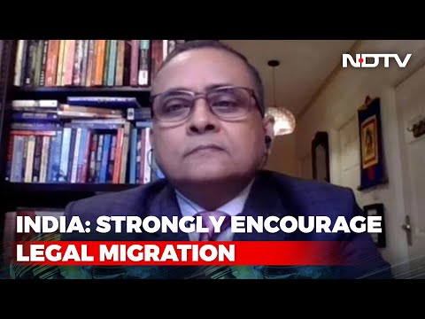 UK Should Not Miss The Bigger Picture: Think Tank CEO On Immigration Row | Reality Check