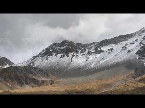 Steinwildjagd Graubünden