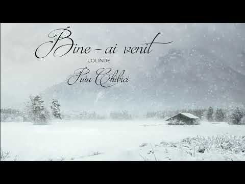 Album Colinde (20) Bine-ai venit - Puiu Chibici
