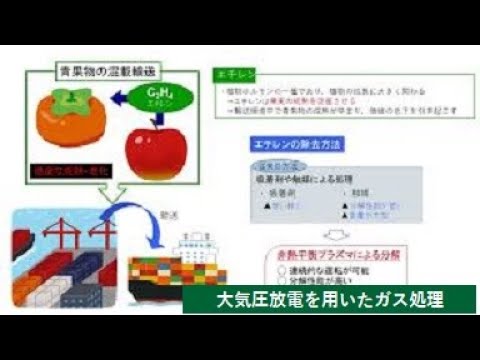 【理工学部】大気圧放電を用いたガス処理