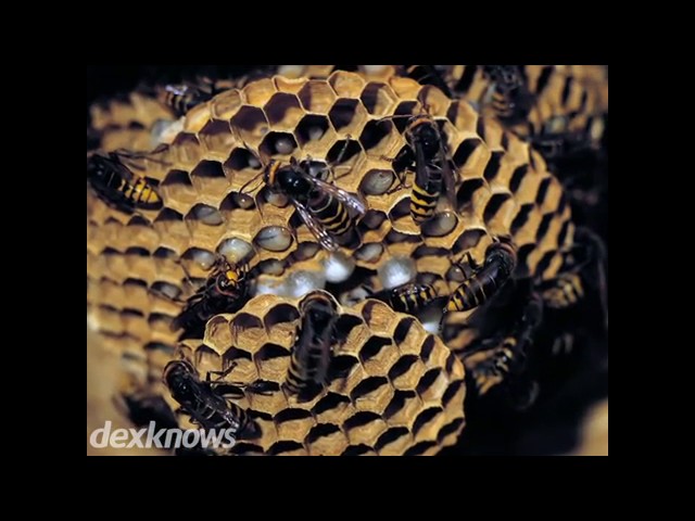 Above and Beyond Services - Denver, CO