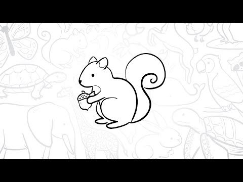 How To Draw A Simple Squirrel Step By Step Lesson