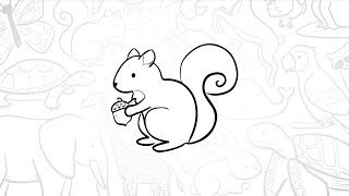 How to Draw a Simple Squirrel | Step-by-Step Lesson