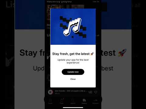 Elzo bands - 200 Chopperz