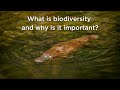 What Is Biodiversity And Why Is It Important