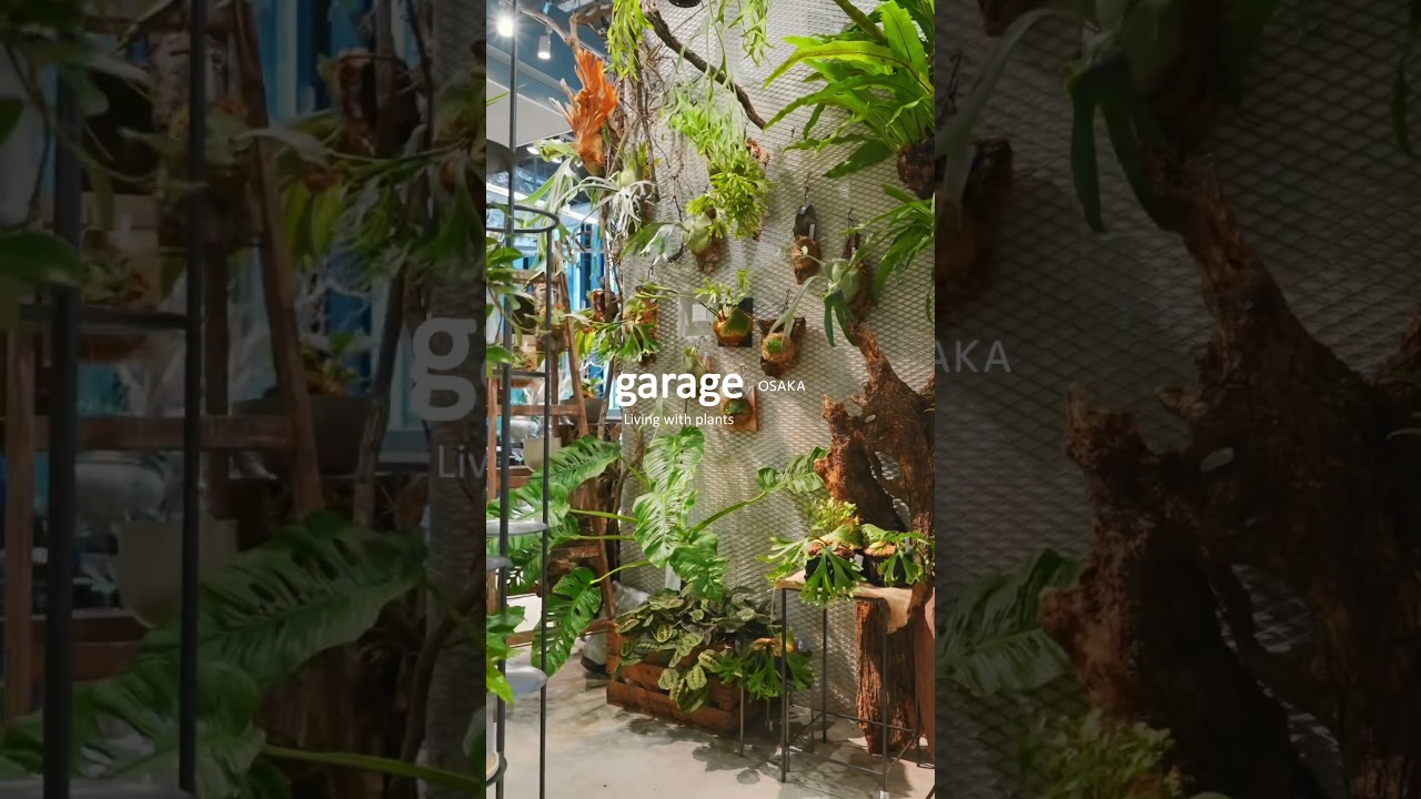 2つのブランドが一つの空間に...新しい可能性に挑戦する園芸店｜「garage OSAKA」#plants