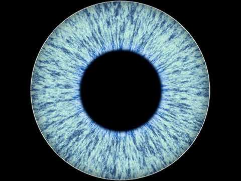 Bad Habits x Insomnia - Mashup