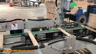 Double Cut-end Drilling Profiling | Máy cắt khoan 2 đầu Vạt Giường WM-250CDS