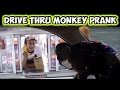 Drive Thru Monkey Driver Prank