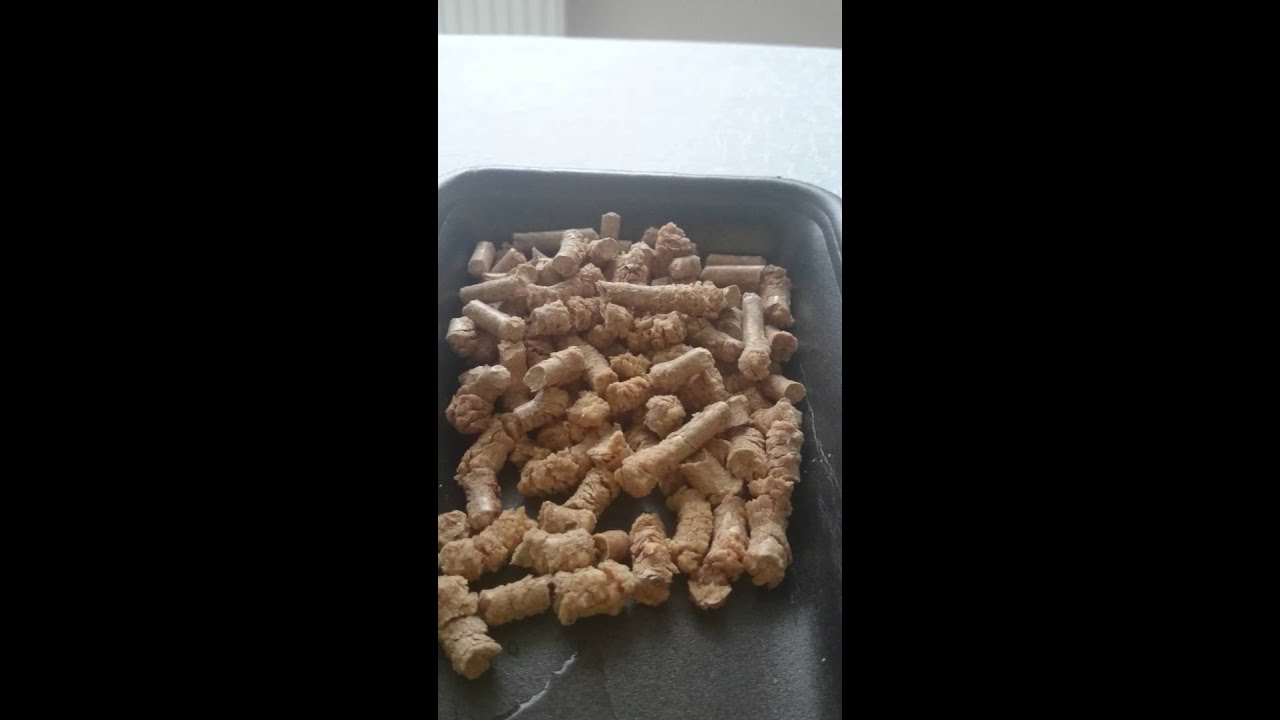 Żwirek drewniany Peluś