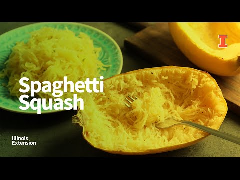 Picking, Preparing, and Storing Spaghetti Squash