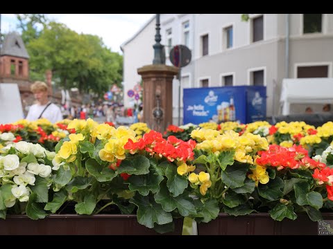 2022 06 24 Brunnebittfest und Flohmarkt