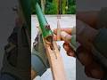 Just Wow 🫣 Amazing Bamboo Slingshots Bamboo Toy