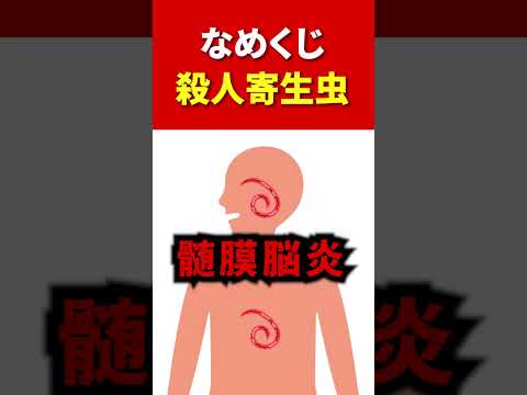 害虫を狩る植物は何ですか?げっ歯類、ナメクジ、昆虫に対する最強の防虫種！  庭園