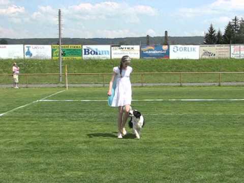 MČR Juniorů 2015 - Dogdancing Heelwork 2. místo (Frozen - Let it go)