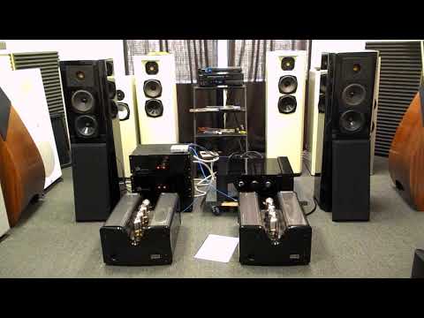 Viva Aurora amps w Goldmund Dialogue spks