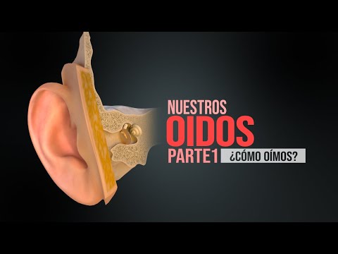 Cómo funciona el oído humano - Parte 1 - La audición (Animación)