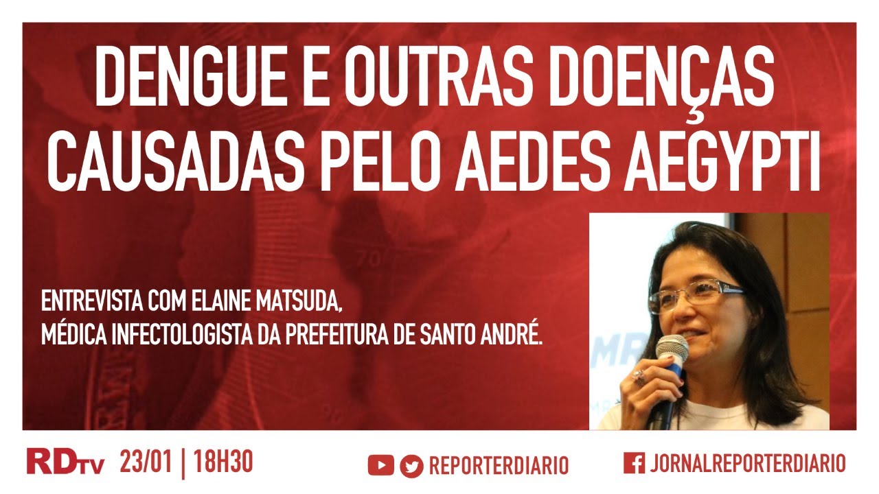 Elaine Monteiro Matsuda-29