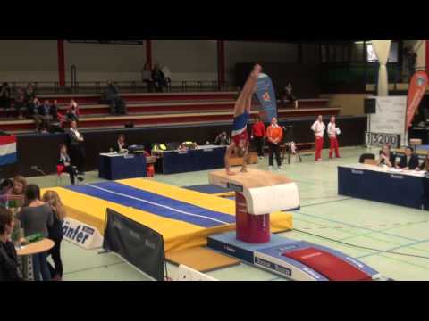Hamburg Gymnastics 2013 Qualifikation - Royal Dutch - Meike Stroot - Vt