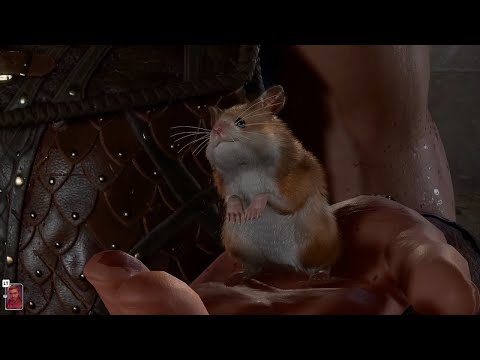 Minsc introduces you to his pet hamster Boo | Baldur's Gate 3