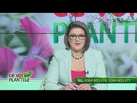 Ce vor plantele Cristina Ghibu partea 1 2022 12 19