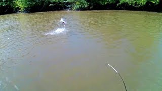 Pesca En Rio Con Cana