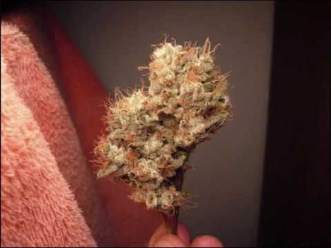 Donk Addiction - Russian Roulette