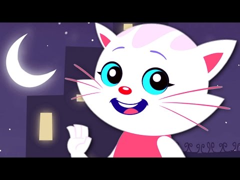 La gatita Carlota - Michi-guau | El Reino Infantil