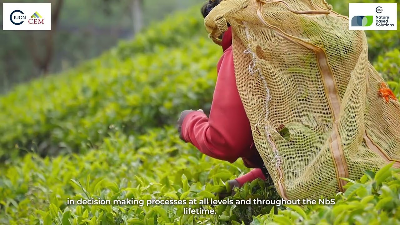 Nature based Solutions - Hindi