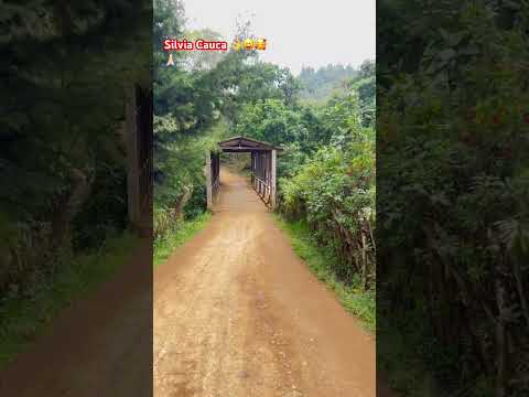 #silvia #cauca 👌😝🥰🙏🏻💦