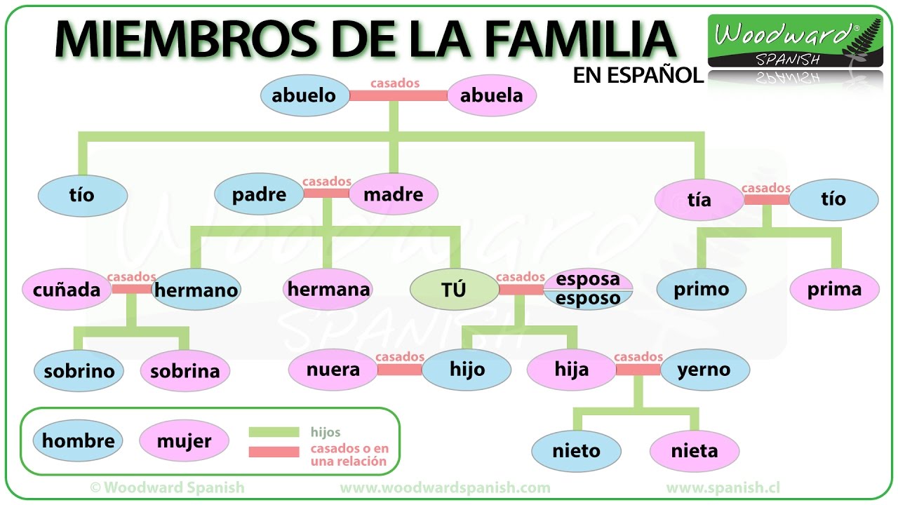 Miembros de la Familia | Family members in Spanish | Learn Spanish Vocabulary