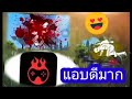 โปรพีฟาย