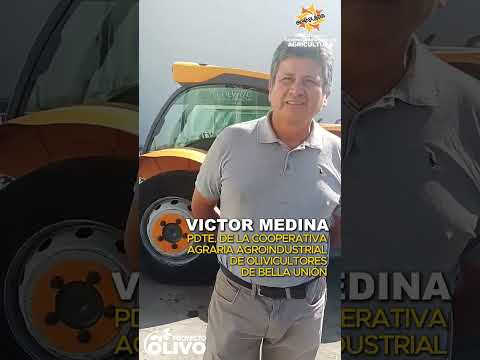 Testimonios de nuestros productores olivícolas de la provincia de Caravelí en Ica🫒