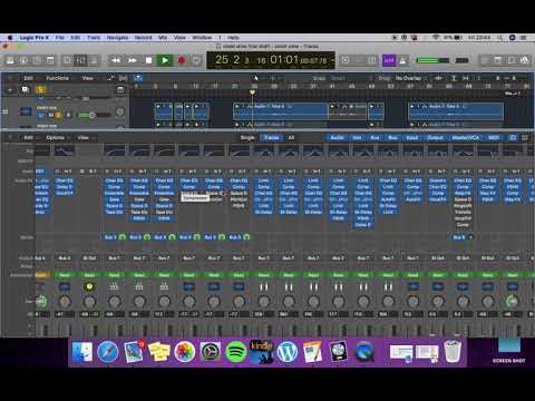 Violet Wine - The Main Vox