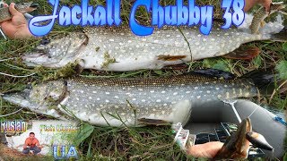 Воблеры jackall cherry dd 55