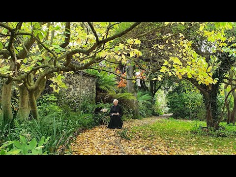 Morning Prayer – Friday, 30th October 2020