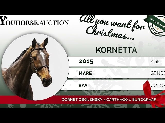 Kornetta trot hard circle