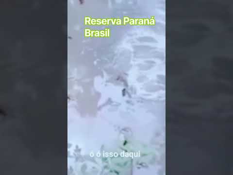 Rio maromba reserva Paraná Brasil perto do Sé Odilon