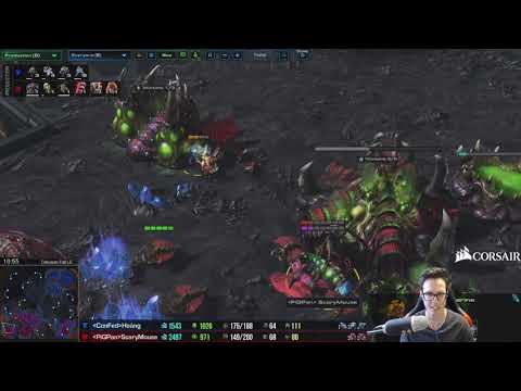 RESPECT THE INSECTS! - Appeasement ICYFAR G2