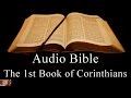 The First Book Of Corinthians - NIV Audio Holy Bible - High Quality And Best Speed - Book 46